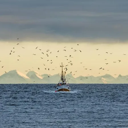 Hotell Henningsvaer Guesthouse