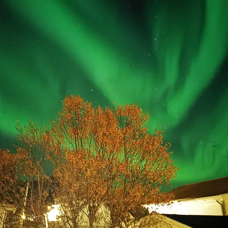ホテル Henningsvaer Guesthouse