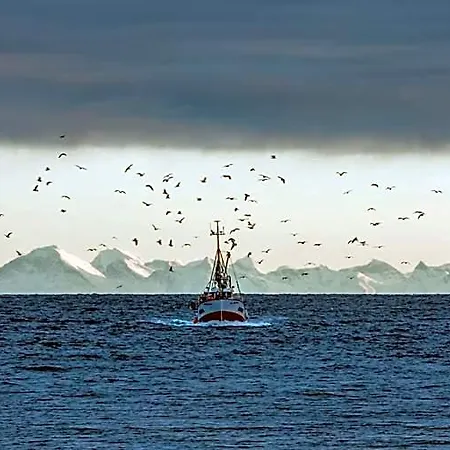 ホテル Henningsvaer Guesthouse