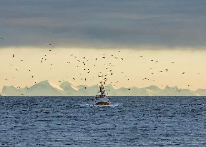 فندق Henningsvaer Guesthouse