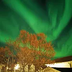 酒店 Henningsvaer Guesthouse